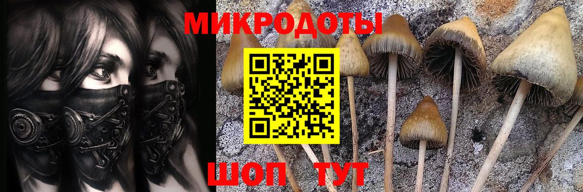 Галлюциногенные грибы GOLDEN TEACHER Брянск
