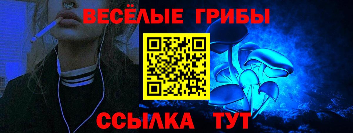 Псилоцибиновые грибы Psilocybine cubensis  Вход с VPN  Брянск 